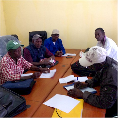 Experts en agriculture de mangue